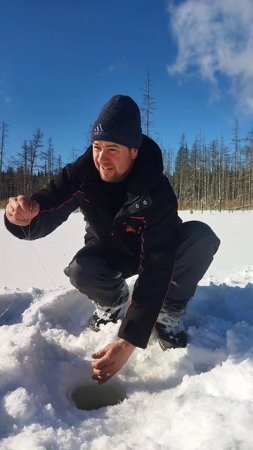 Где ты щука которая над нами издивается