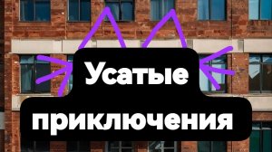 УСАТЫЕ ПРИКЛЮЧЕНИЯ (странная школа)