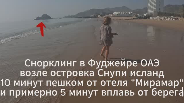 Снорклинг в Фуджейре, ОАЭ, Снупи исланд, черепахи , акулы.