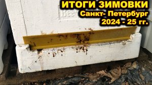 Итоги зимовки пчёл. г.Санкт - Петербург. Зима 2024 - 25 .