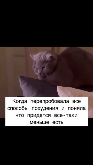 Когда поняла что ничего не поможет похудеть кроме голодания