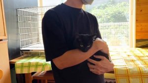 ЗВЕРСКИЕ цены и странные правила. Содержание домашних питомцев в Японии