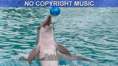 Positive (No Copyright Music)