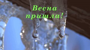 Олег Походий "Весна пришла!"