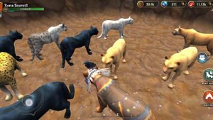 покупаем вип в wolf tales! 🥳