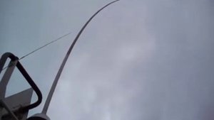 Мерлуза орегонская