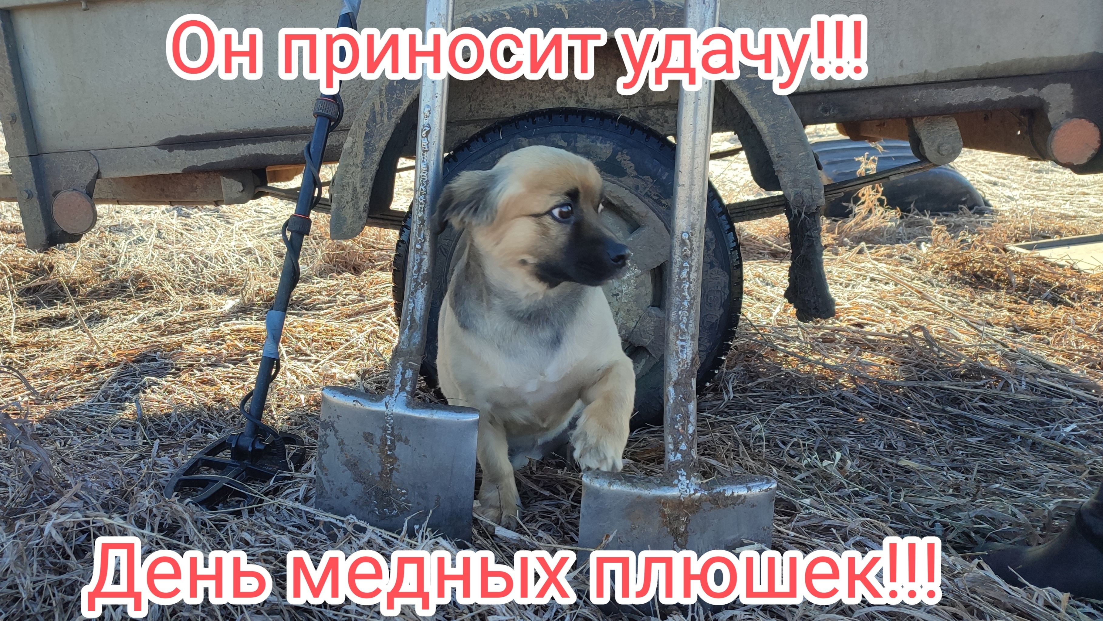 Тема наш талисман!!!Одни медные плюхи под конец копа!!!