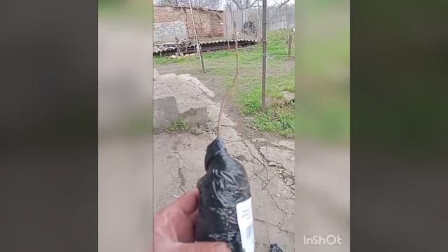 2025-03-21 в 12.26.43_Саженцы от Агромаркет 24. смотреть онлайн