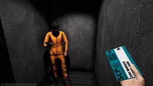 Играем и продолжаем в SCP SL