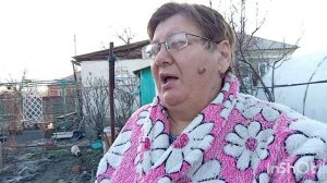 У меня шок.Собаки ночью залезли в курятник