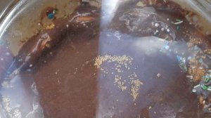 я Приготовил торт.