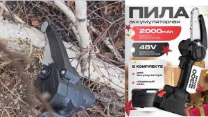 Мини электро пила за 2500 руб