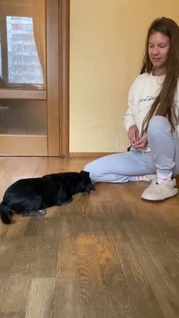 Маленькая собачка Лиза ищет дом!