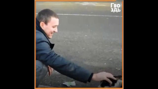 Смешливое Вирусные видео ССЫЛКА В ОПИСАНИИ!