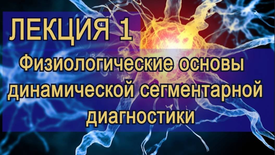 Лекция 1.  Физиологические основы динамической сегментарной диагностики (v.2)