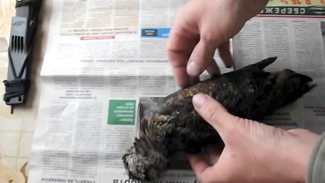 Перо вальдшнепа. Где искать. смотреть онлайн