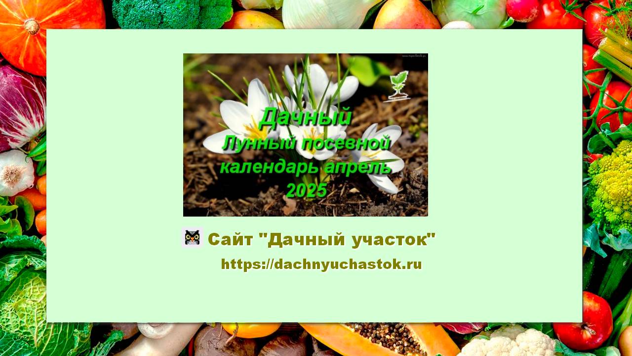 Дачный Лунный посевной календарь садоводов и огородников на апрель 2025 года