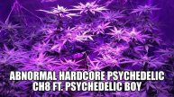 CH8 ft. Psychedelic Boy - Purple Haze (Abnormal Hardcore Psychedelic Remix)