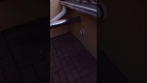 играем в прятки и бесим кита