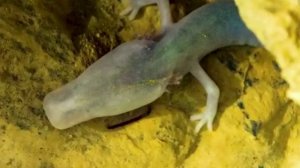 Путешествие. Словения