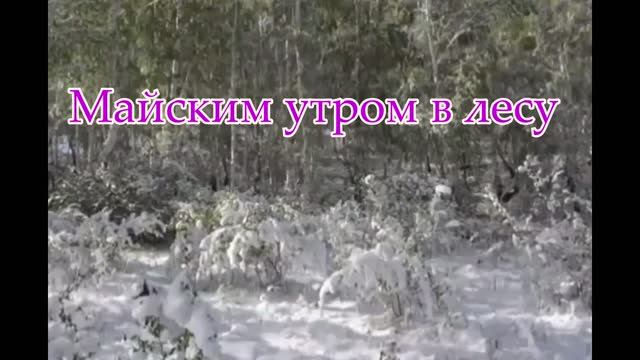 Майским утром в лесу... музыка Евгения Полянского... Что наша жизнь смотреть онлайн
