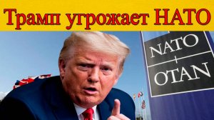 Трамп против НАТО: альянс на грани краха?