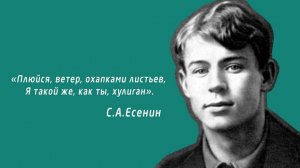 Хулиган