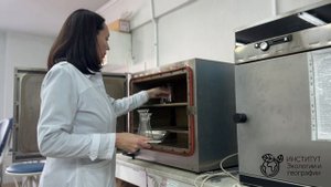 Определение почвенного углерода