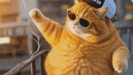 Классное видео о рыжем коте-75 выпуск.