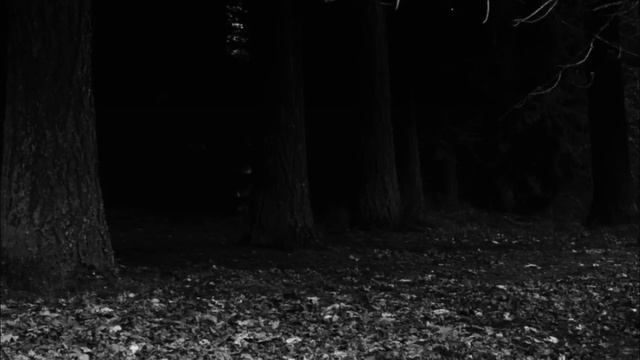 "I PLAN TO DELETE MY YOUTUBE CHANNEL" CREEPYPASTA смотреть онлайн