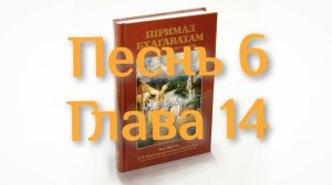 Бхакти-вайбхава, ШБ, Песнь 6, Глава 14, 22 марта 2025 г.