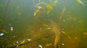 По ту сторону воды 1