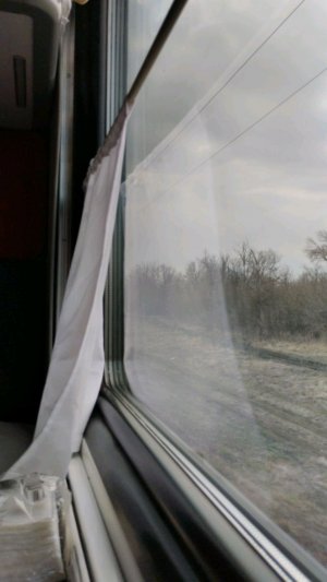 На поезде в Армавир