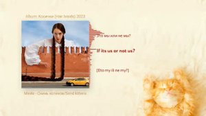 MIRÈLE - Скинь котиков / Send kittens / Skin' kotikov | English translation, rus lyrics+transcript