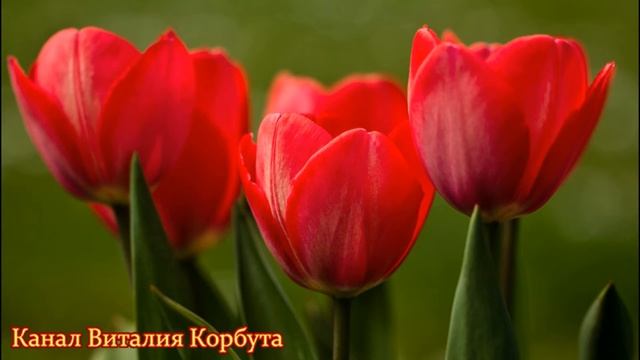 ЦВЕТЫ- ПОЭЗИЯ ПРИРОДЫ  ЖЮЛЬ ВЕРН