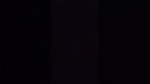 1000005636.mp4