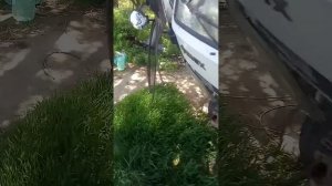переделка баф феникс