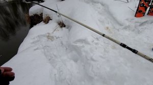 Бодрое весеннее шнурьё