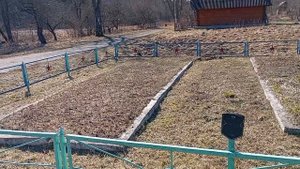 Белорусская деревенька Старинки, Вилейского района, Минской области со страшной судьбой Хатыни.