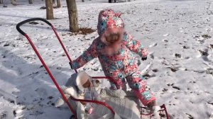 когда выпал долгожданный снег