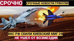 Киев в УЖАСЕ!! Российские военные сбили украинский истребитель МиГ-29