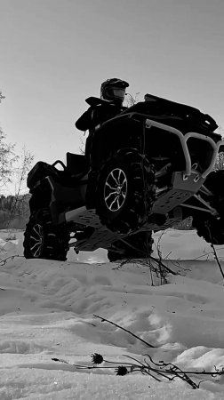 Зима и Stels Guepard #shordoga #stels #atv
