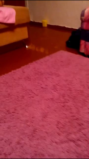 Кошкин Канальчик: реклама " вискас" смотреть онлайн