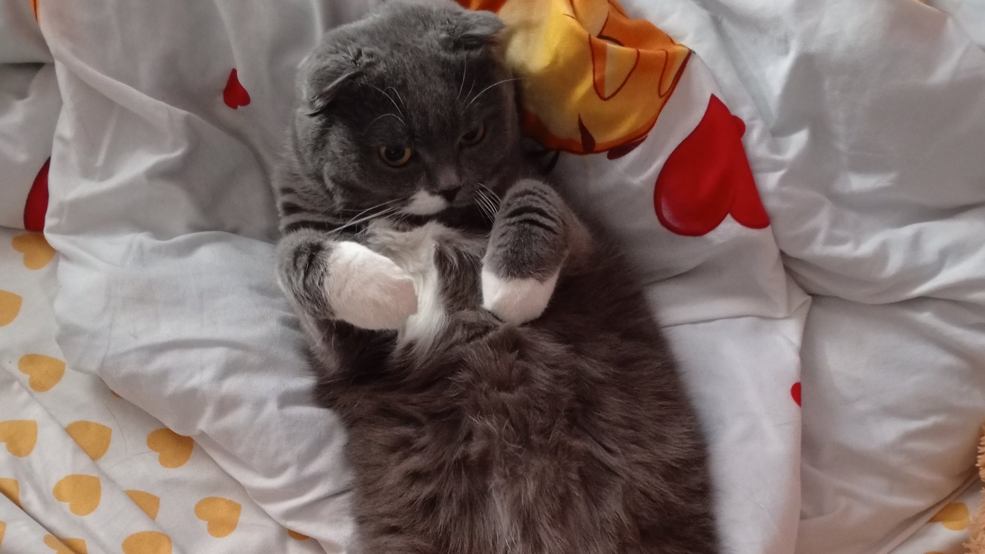 моё утро смотреть онлайн