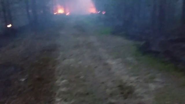 Пожары в Сибири. Западная Сибирь. ХМАО. Кондинский район смотреть онлайн