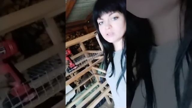 Часть 1. Клетка для перепелов из дерева своими руками.