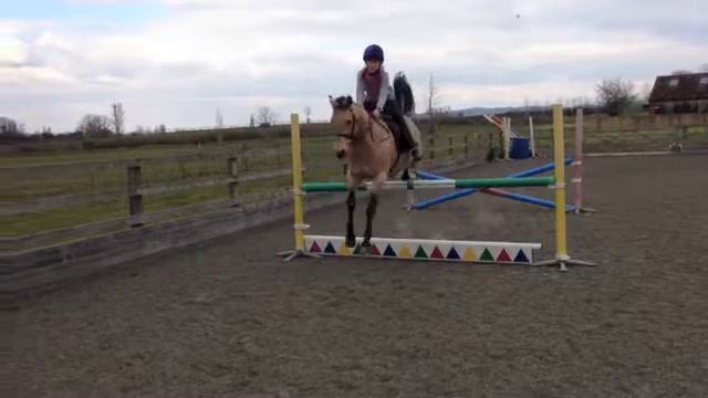 1m on simba смотреть онлайн