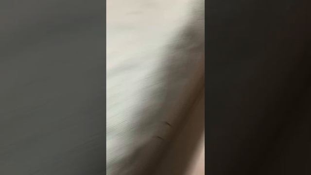 Мои грамоты и всё брейкаское смотреть онлайн