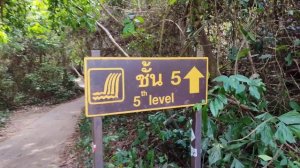 Водопад в Джунглях Тайланд 21.03.25.