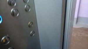 Новый лифт! Электрический пассажирский лифт МЛМ - Невский лифт 2019 года выпуска.